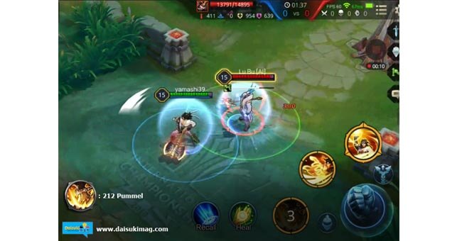 ed-rov-wiro-212Pummel-01